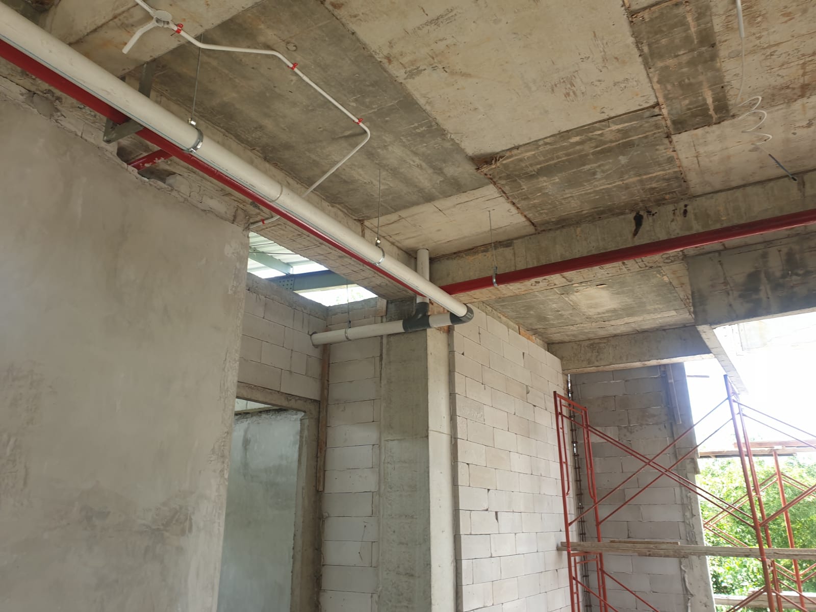 WhatsApp Image 2024-03-18 at 14.00.13_dd8de9a4